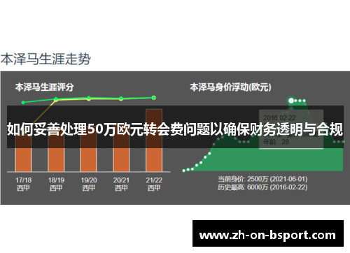 如何妥善处理50万欧元转会费问题以确保财务透明与合规