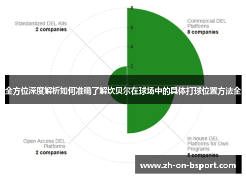 全方位深度解析如何准确了解坎贝尔在球场中的具体打球位置方法全 全方位深度解析如何准确了解坎贝尔在球场中的具体打球位置方法全