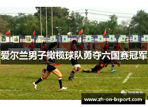爱尔兰男子橄榄球队勇夺六国赛冠军 爱尔兰男子橄榄球队勇夺六国赛冠军