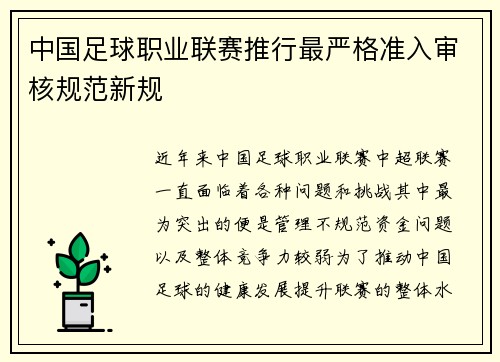 中国足球职业联赛推行最严格准入审核规范新规 中国足球职业联赛推行最严格准入审核规范新规